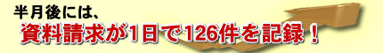 PPC・半月後には、資料請求が1日で126件を記録！